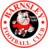 Barnsley FC Icon